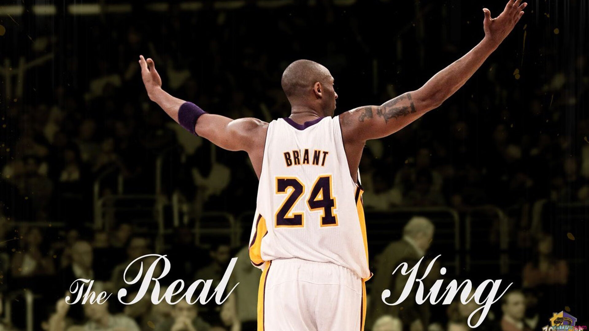 开云APP下载-伊朗球员全票入选冬奥最佳阵容，伊朗参加东京奥运会了吗