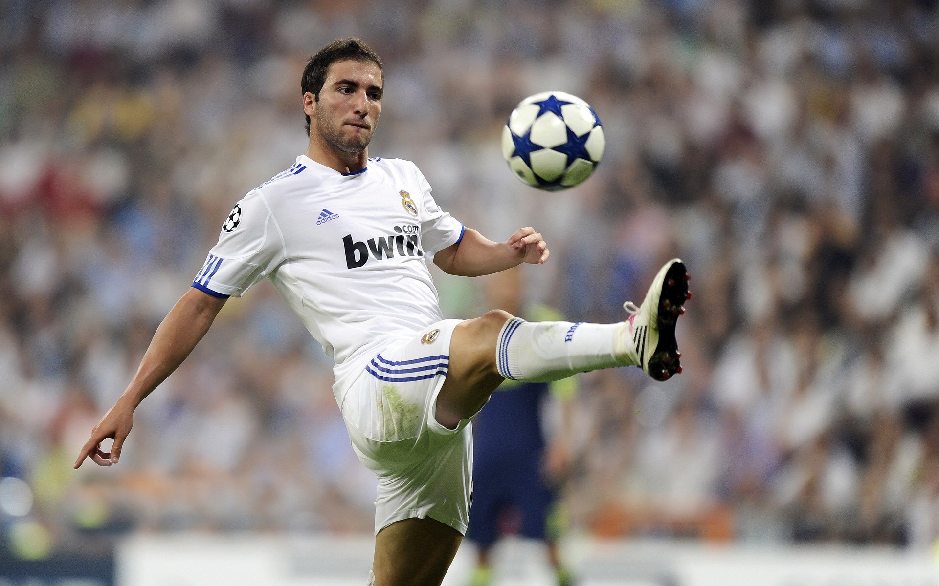 kaiyun sports-守望先锋 新人选手首秀出色 俱乐部深度布局青训，守望先锋阵容大全